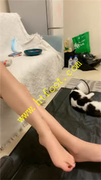 dsvdsqan2ml.jpg