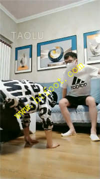 ptvn33ypkk0.jpg