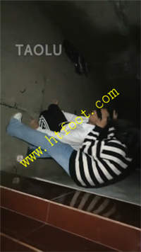 t1ivom1xogp.jpg