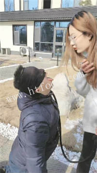 wz5o1ravkt5.jpg