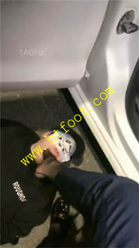 f2pr0p1tgiy.jpg