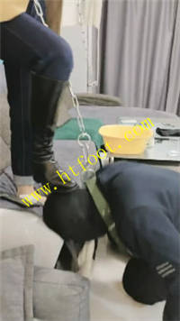 zpdmoph44wm.jpg