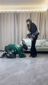 rogve253v5g.jpg