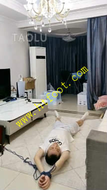 xpy2alheetv.jpg