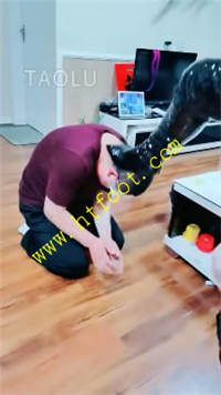 yo2qhtkis54.jpg
