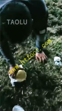 skl201gd5lp.jpg
