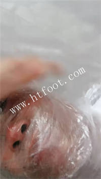 zuo21uya225.jpg
