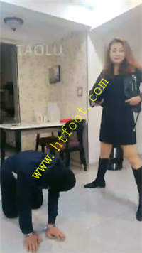 p0pjb5efv32.jpg
