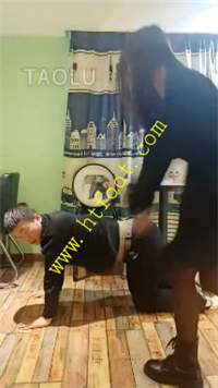 vldhusejins.jpg