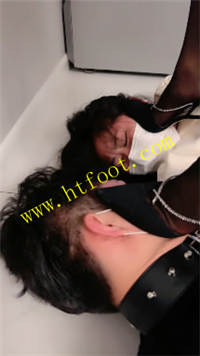 5l2ewdj1oub.jpg