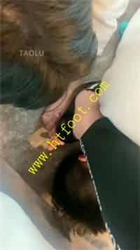 pp5ssy41fpu.jpg
