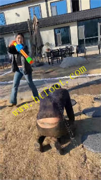 nnlp11nmylx.jpg
