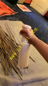 vogumjesauc.jpg
