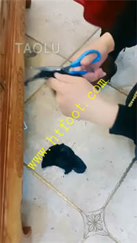 1bclae3pjo2.jpg