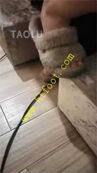 wj5w041dtdv.jpg