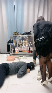1ig1svovmf3.jpg