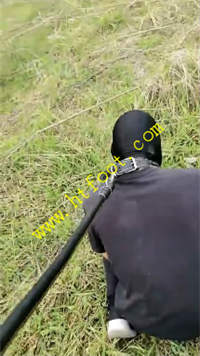 sr0cgnytfhg.jpg