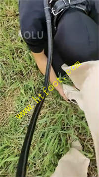 yde43wcrhp5.jpg