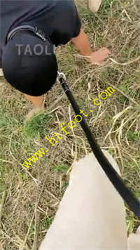 xq221jvsh2y.jpg