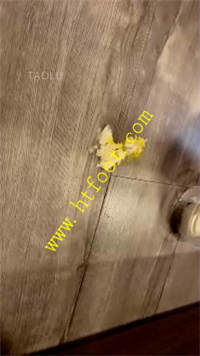 mjfdzfsjcbt.jpg