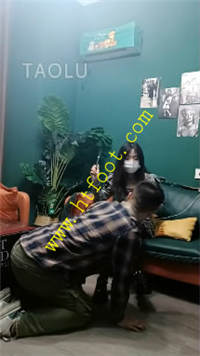 5t3xwqsvgrl.jpg