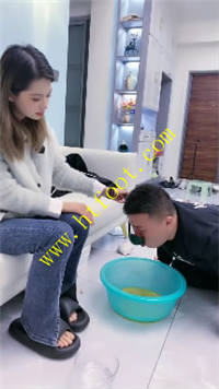 dwqldr02p3a.jpg