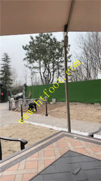 fttdqnynnta.jpg