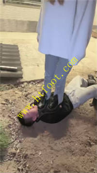 gpy3vn1t2w1.jpg