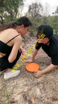 owddr1qho42.jpg