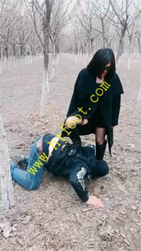 shjm0e1gviz.jpg