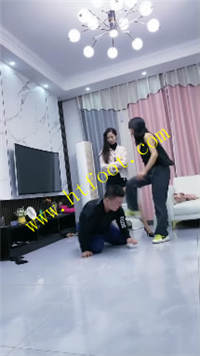 51a4opo2olb.jpg