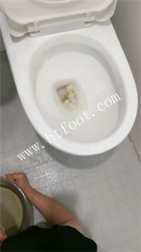 wjseb1wozkh.jpg