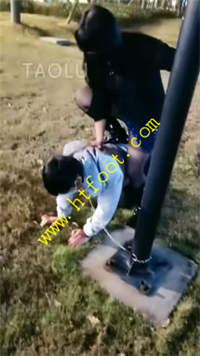 npizhtdkw1s.jpg