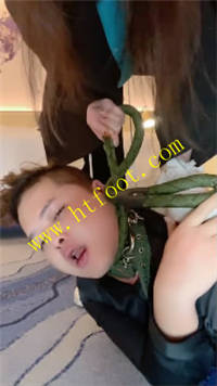 xlqutnyhsin.jpg