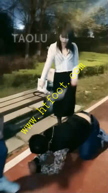 voclvaievmt.jpg