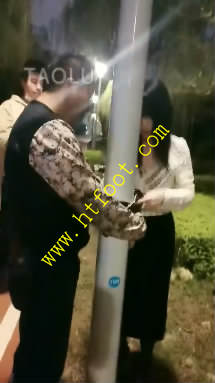 gtju4pgjl0h.jpg