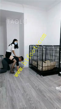 snyyjv2pnnu.jpg
