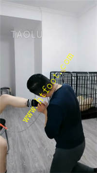gnedgc3rlwl.jpg
