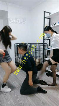 pl5zmf3vjre.jpg