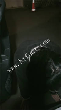 omt3rha1h05.jpg