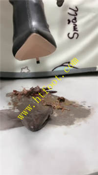 jkyry53qail.jpg