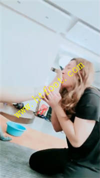 th22ip51me2.jpg