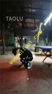 nicvzfoqp51.jpg