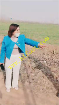 zj21yugef34.jpg