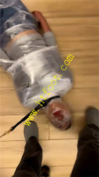 qmnyvgpz15h.jpg