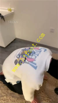 hyrfvtst3mt.jpg