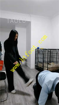 qhizl51lsmp.jpg