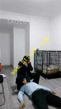 x0bjdne4ulh.jpg