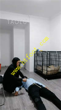 h5azb5pirxj.jpg