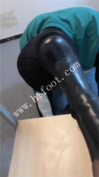 k3310fitokk.jpg